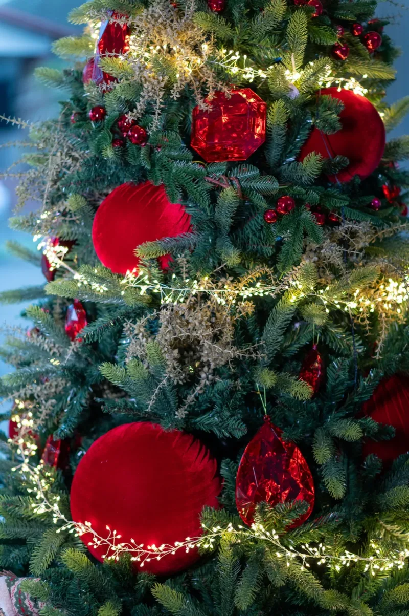 Natal é Tradição
