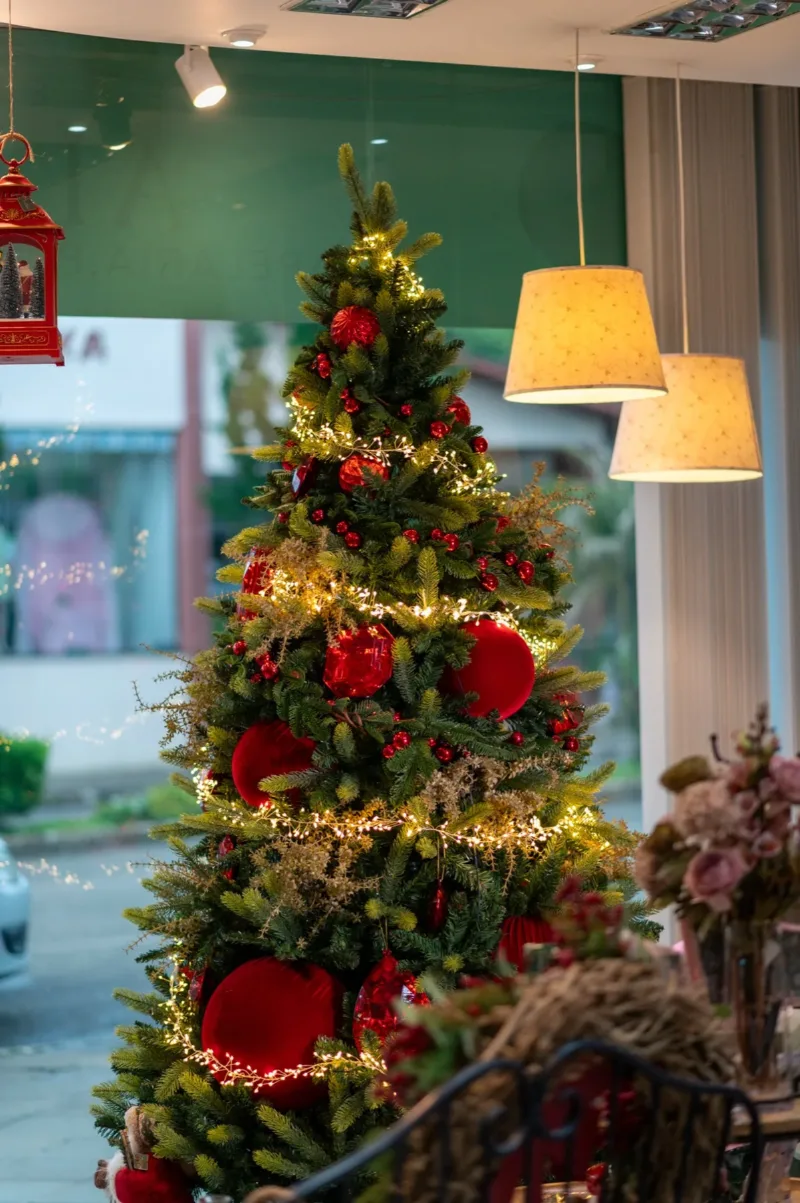 Natal é Tradição