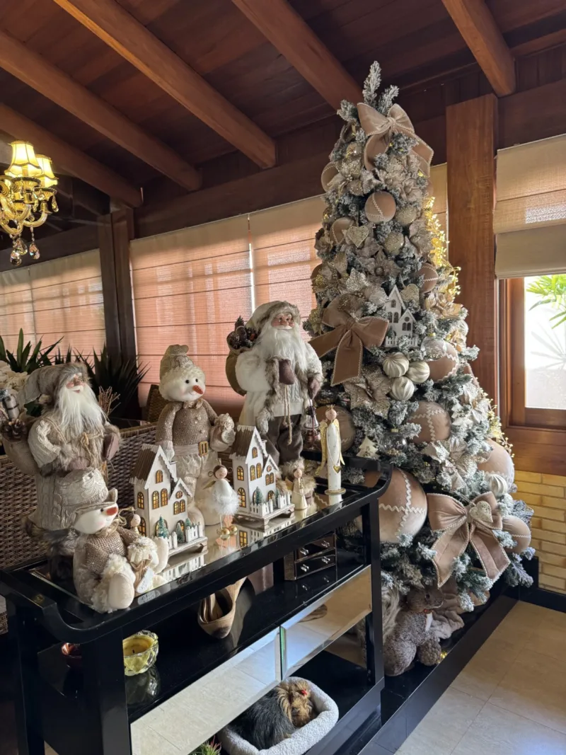 Cada Casa, um Natal